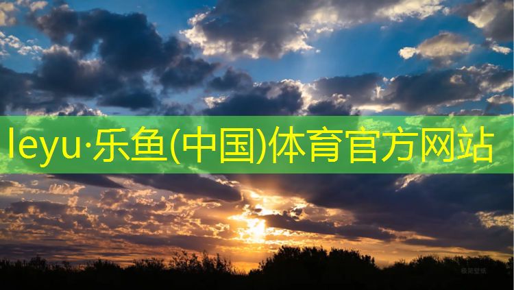 樂(lè)魚(yú)體育,跑步機(jī)的跑帶一般多寬