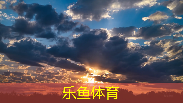 樂魚體育,安陽(yáng)塑膠跑道施工價(jià)格