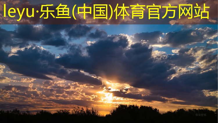 <strong>樂魚體育,常州專用塑膠跑道材料</strong>