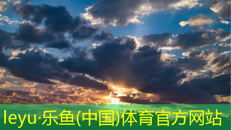 <strong>樂魚體育,樂清藍(lán)色塑膠跑道</strong>