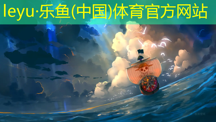 海特網(wǎng)球網(wǎng)前殺球