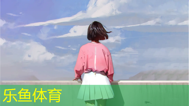 迪卡儂踏步機健身器材怎么樣_